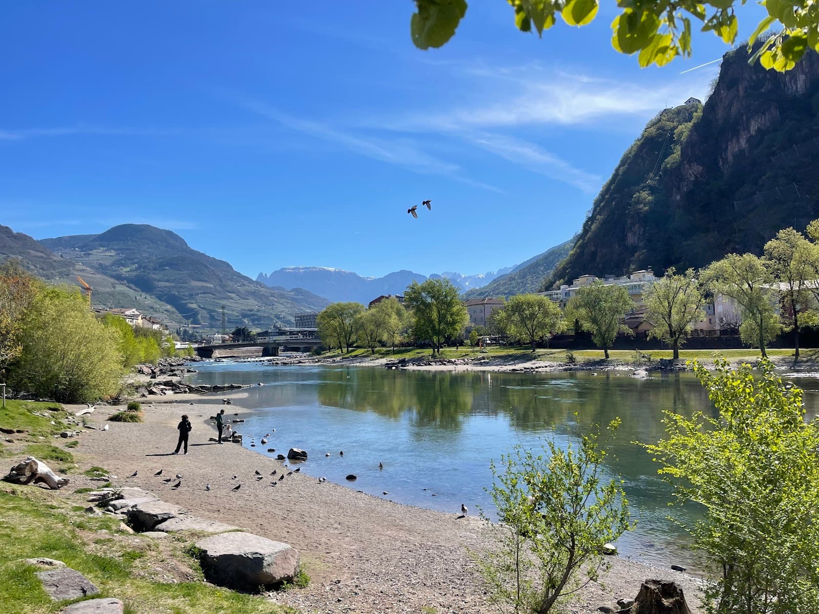 Isarco-Talvera Confluence - Image 1