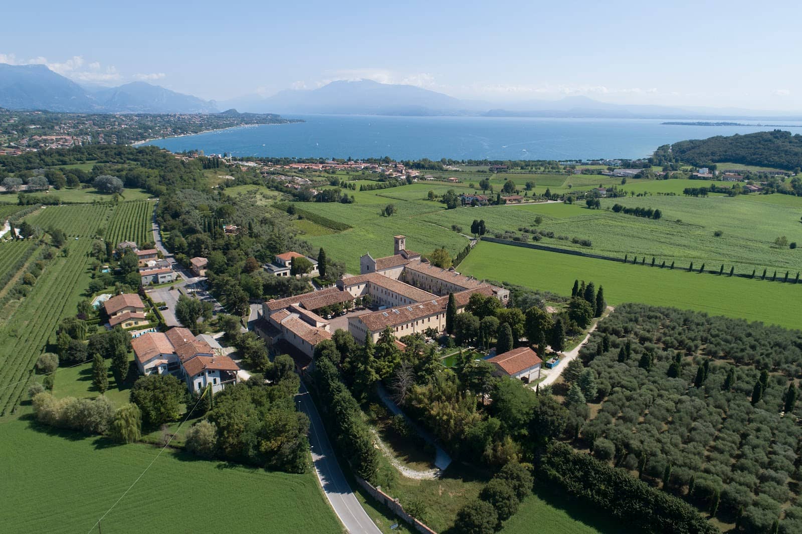 Olive Groves and Lake Views
