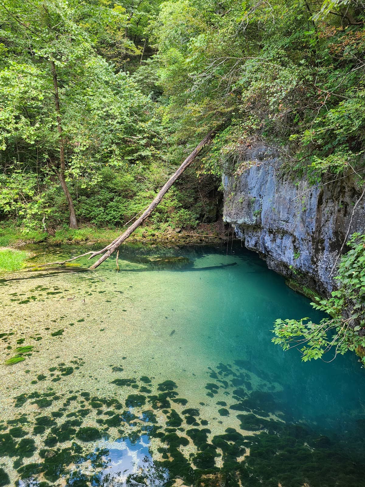 Springs and Sinkholes