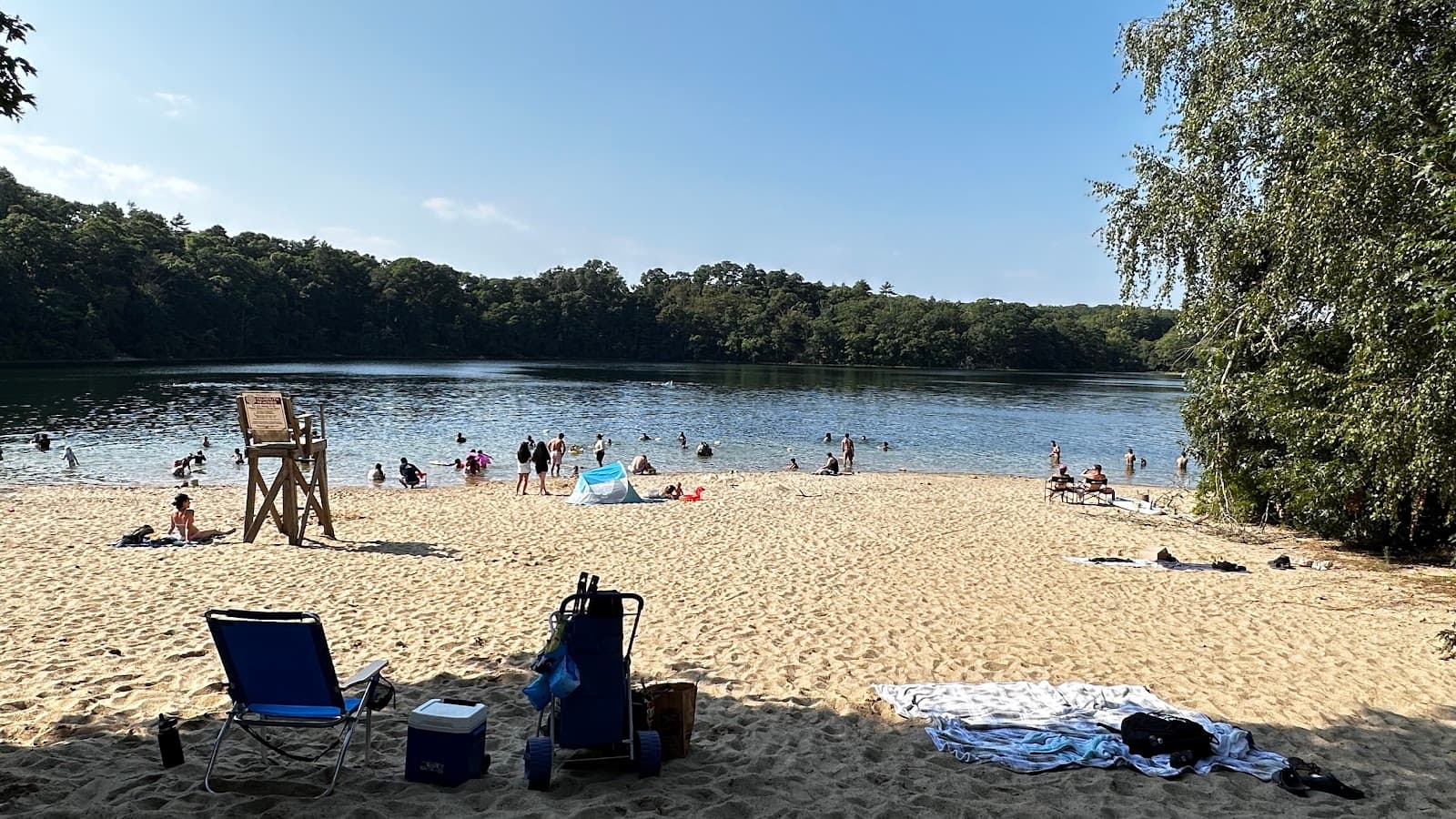 Goodwill Park and Grews Pond - Image 1