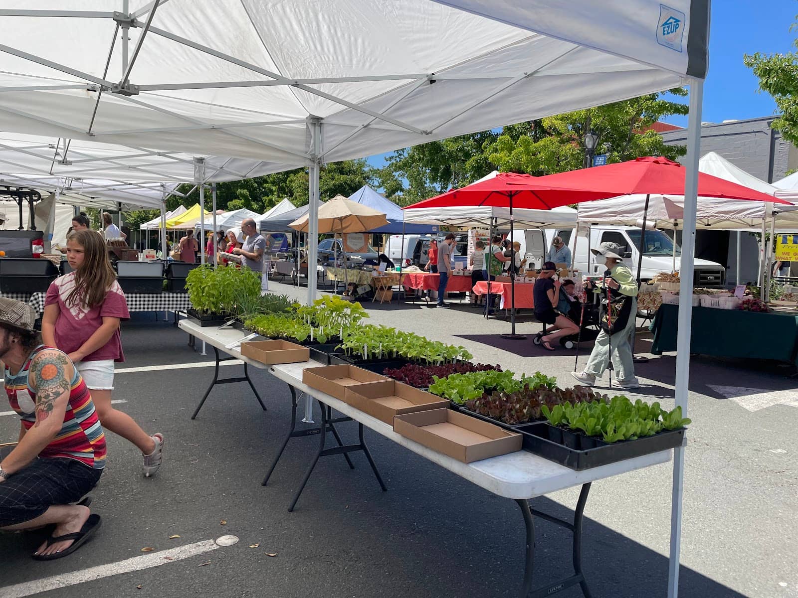 Local Crafts and Goods