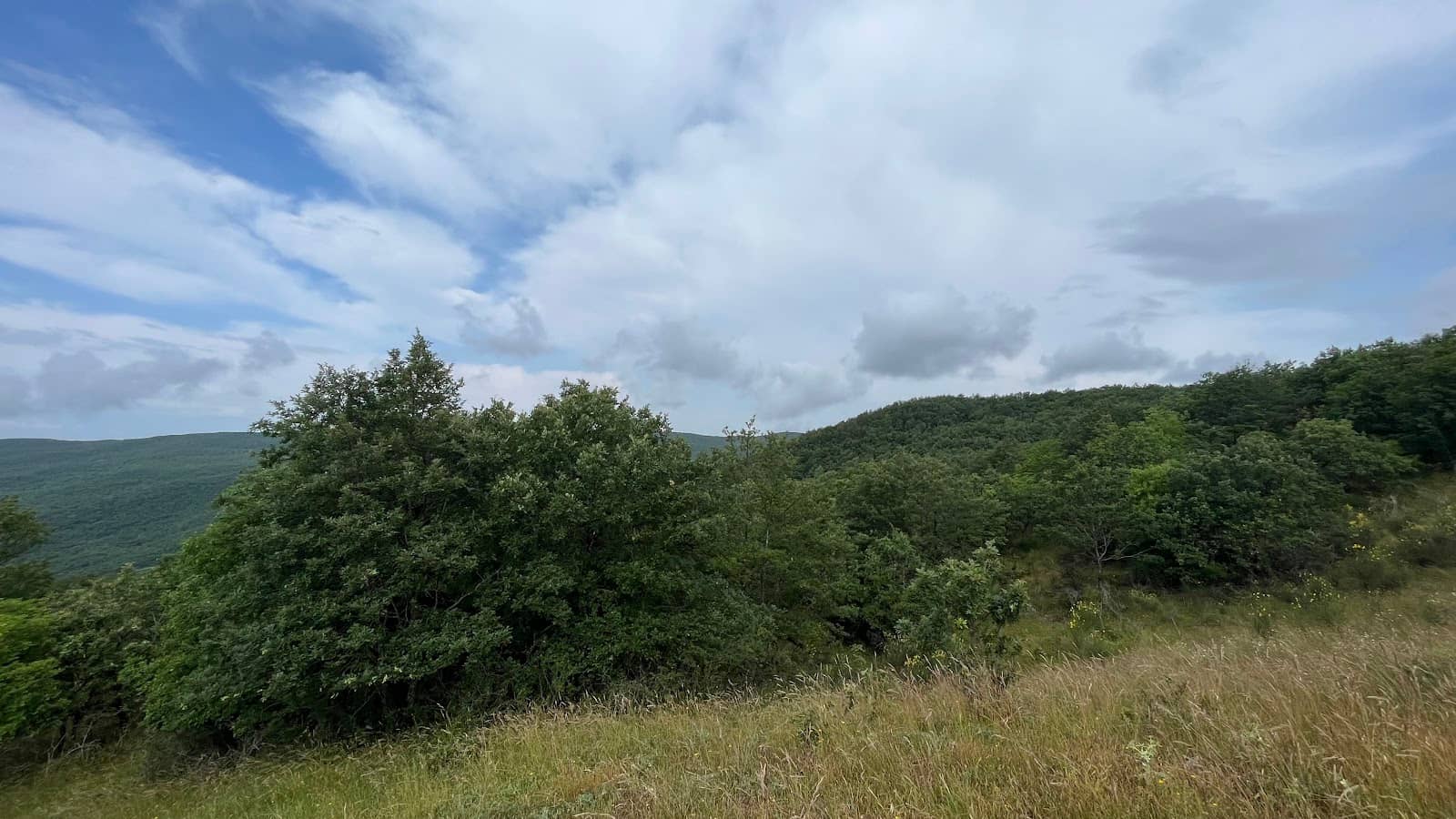 Stargazing Opportunities