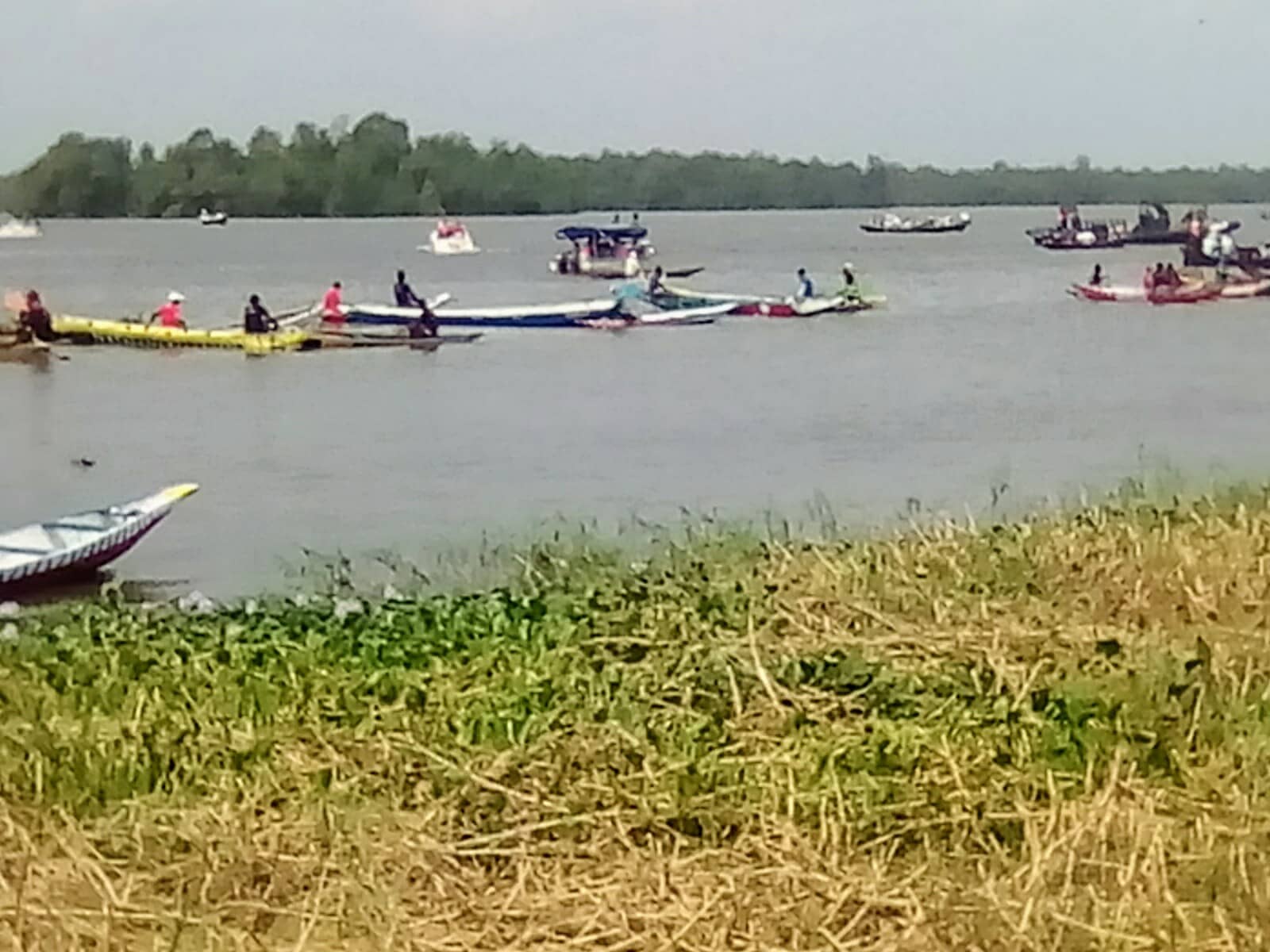 Les Palétuviers Matanda