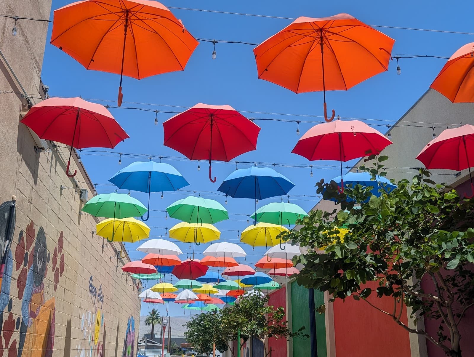 Downtown Indio Murals - Image 1