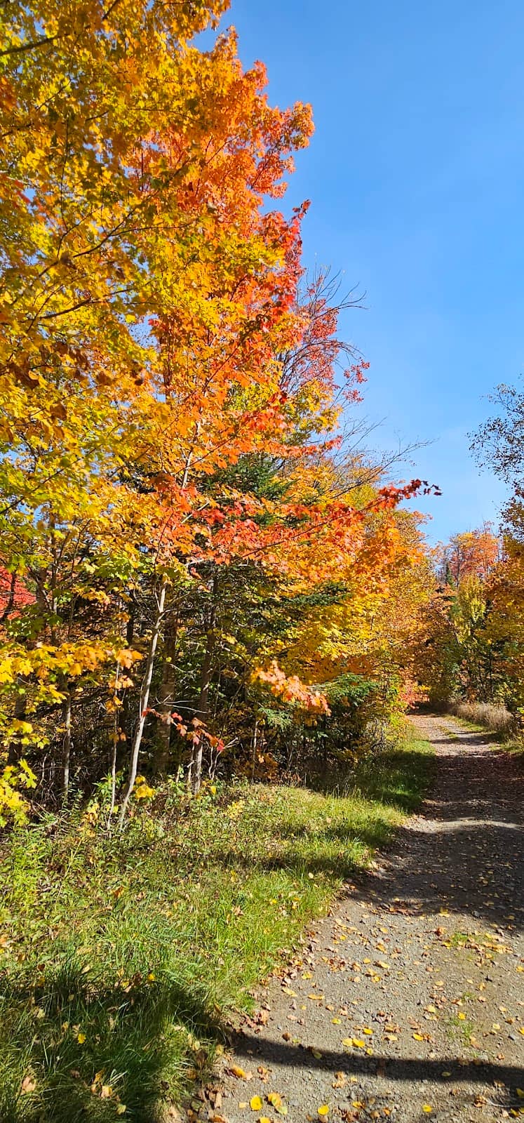 Winter Trail Grooming