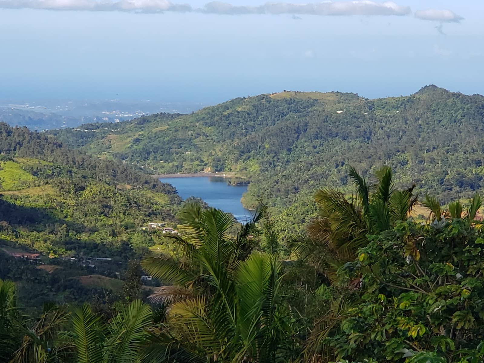 Bosque Estatal Toro Negro Trails