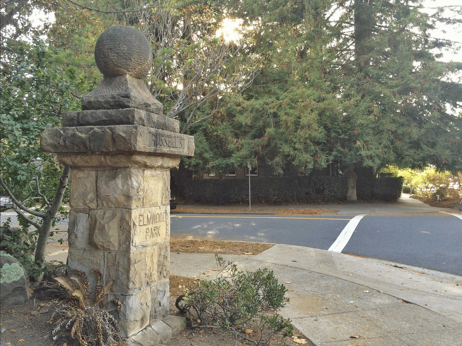 Elmwood - Image 1