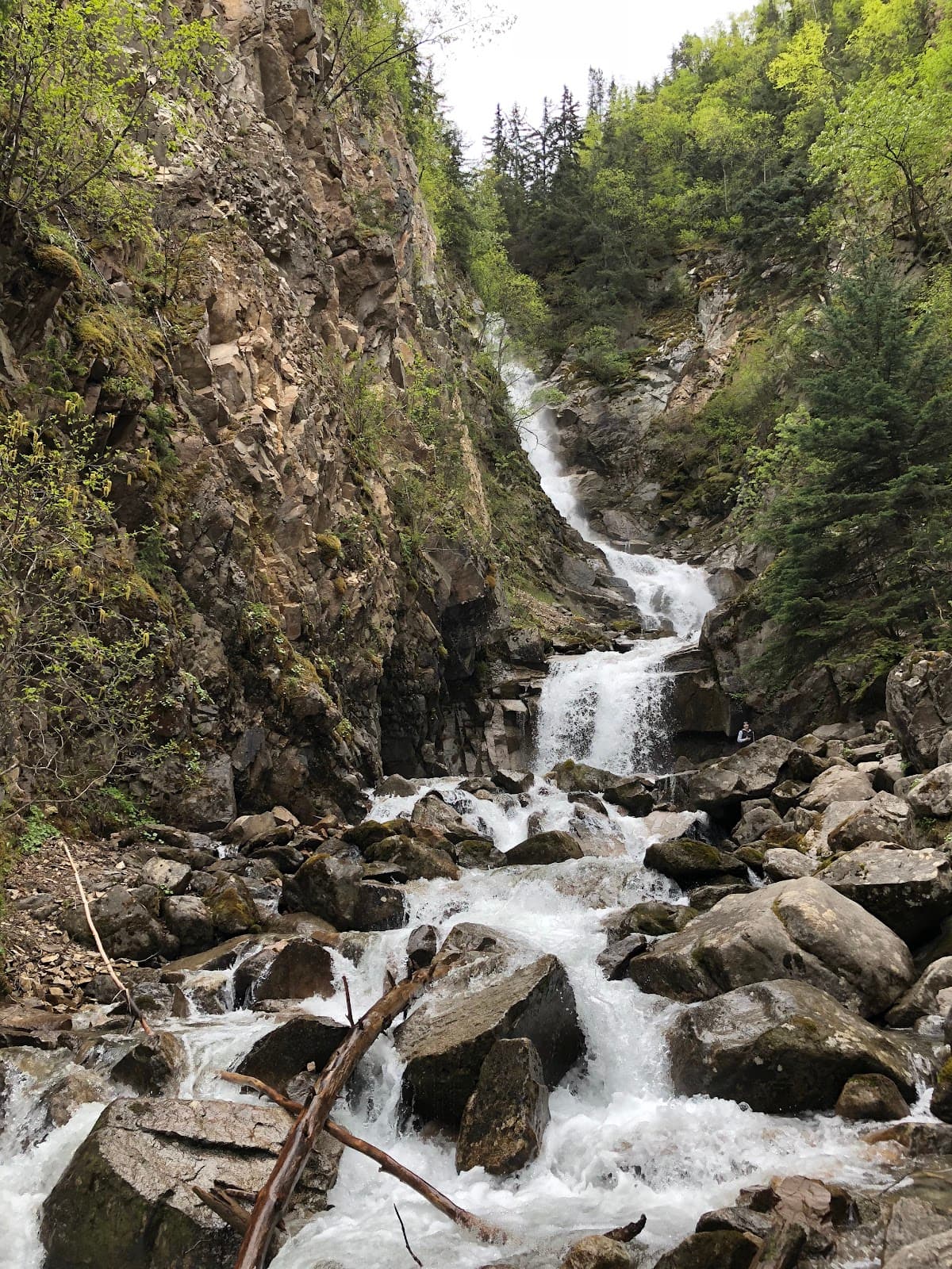 Icy Lake and Upper Reid Falls Trail - Image 1
