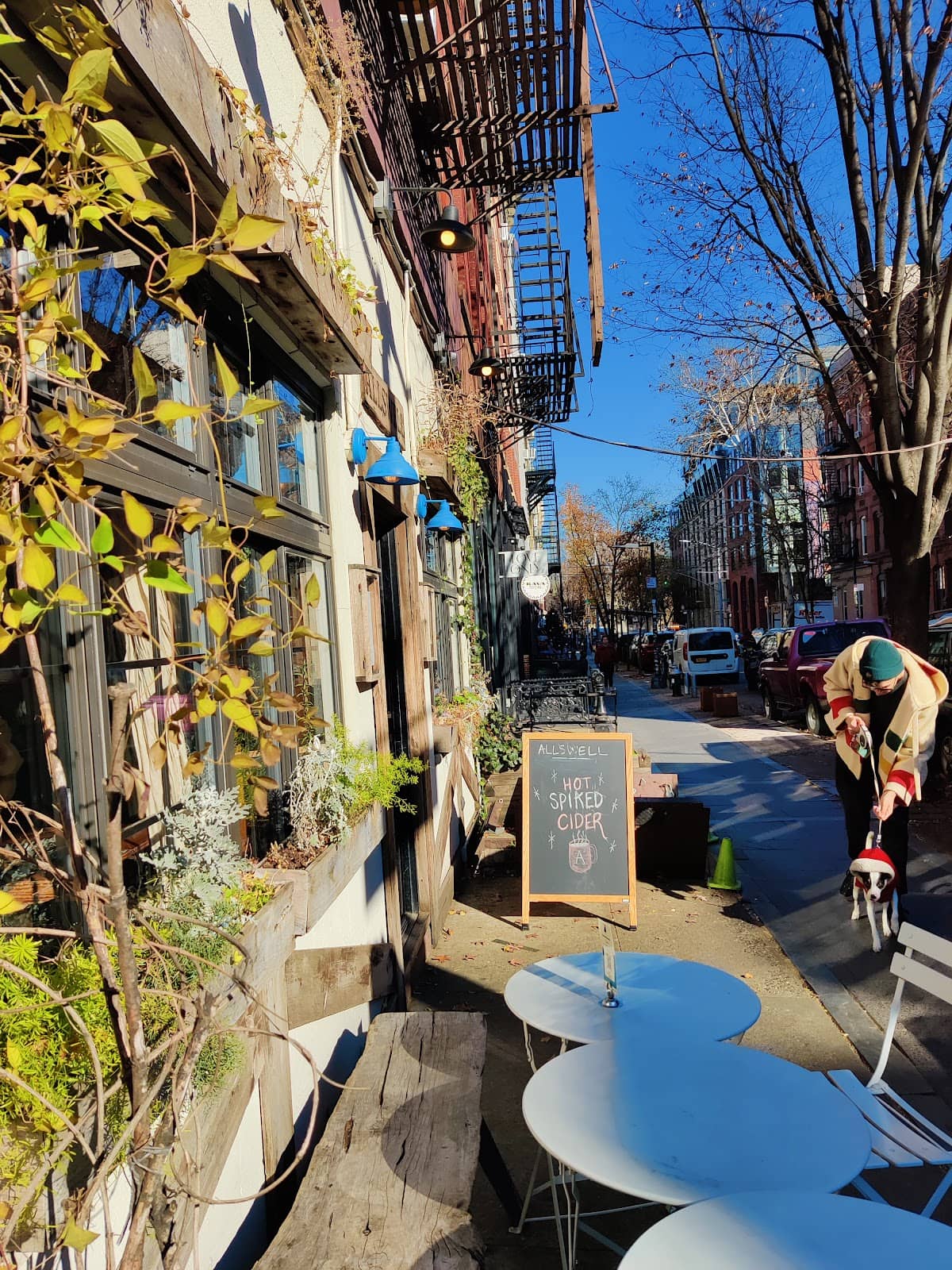 Williamsburg Waterfront Views