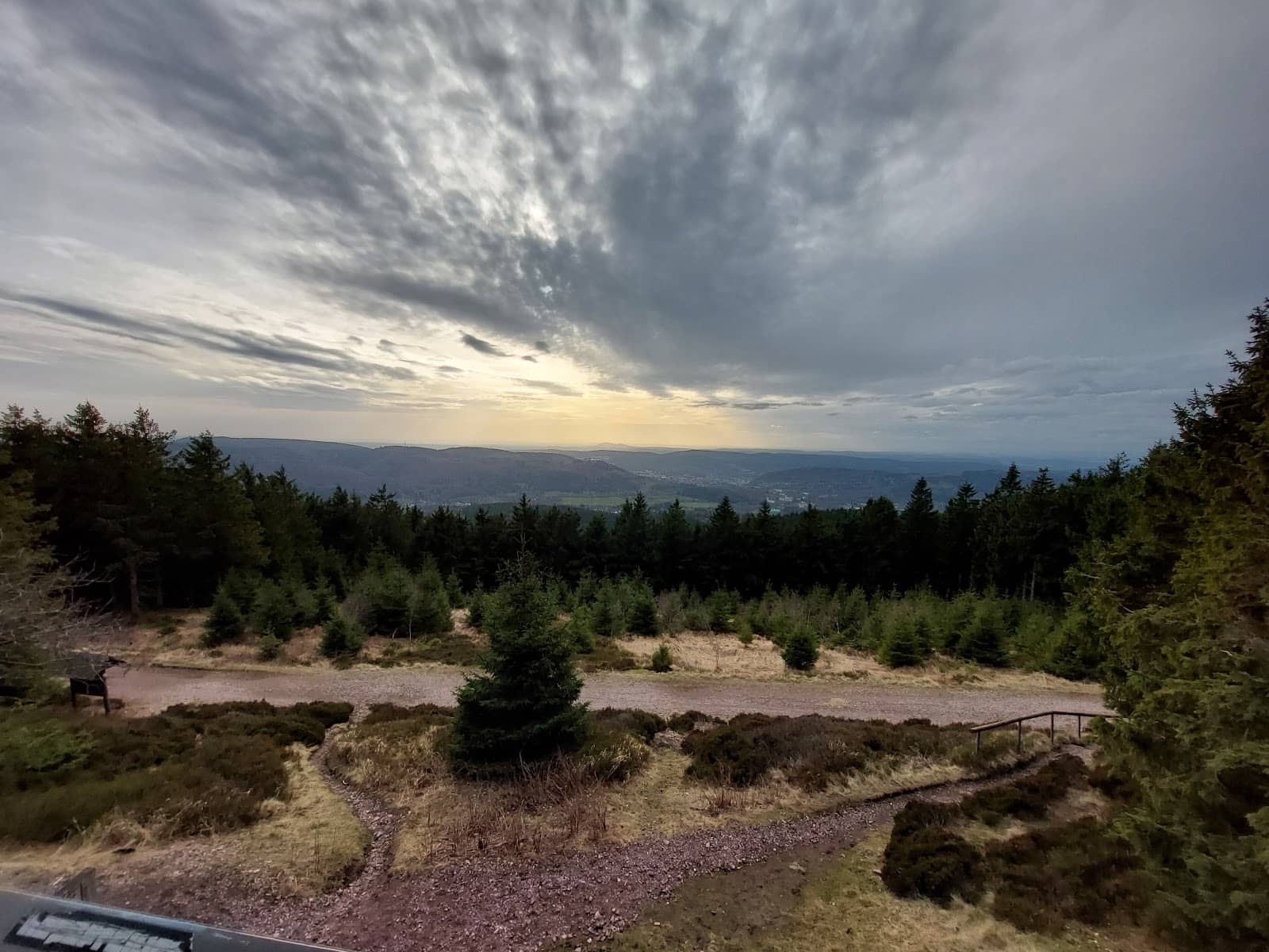 Panoramic Forest Views