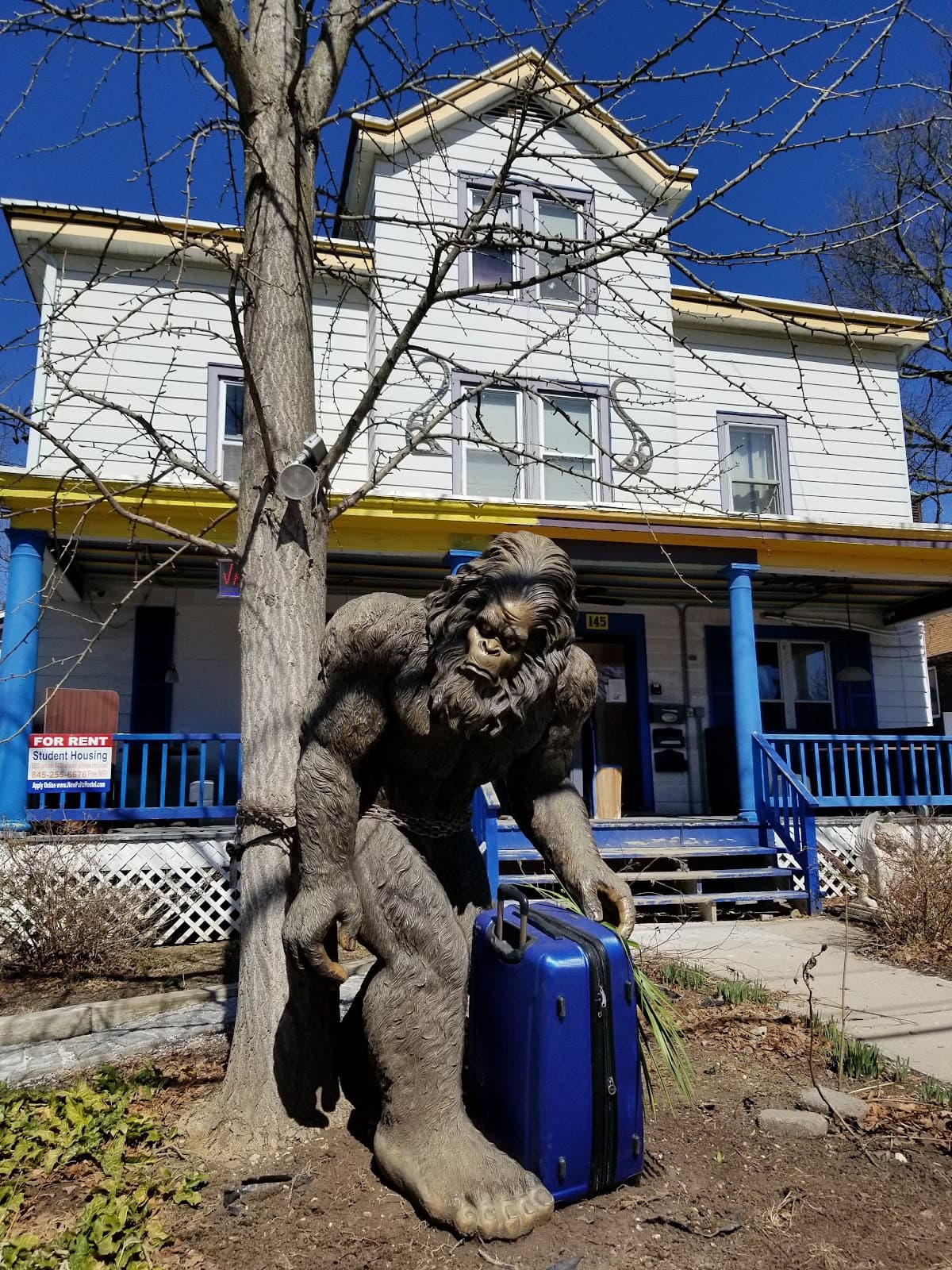 Main Street (Downtown New Paltz) - Image 1