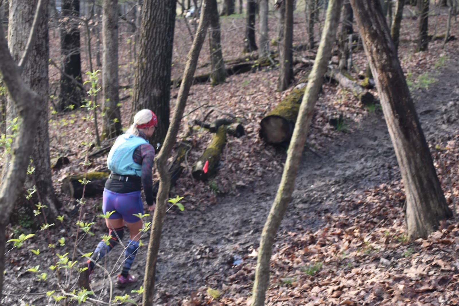 Chubb Trail - Image 1