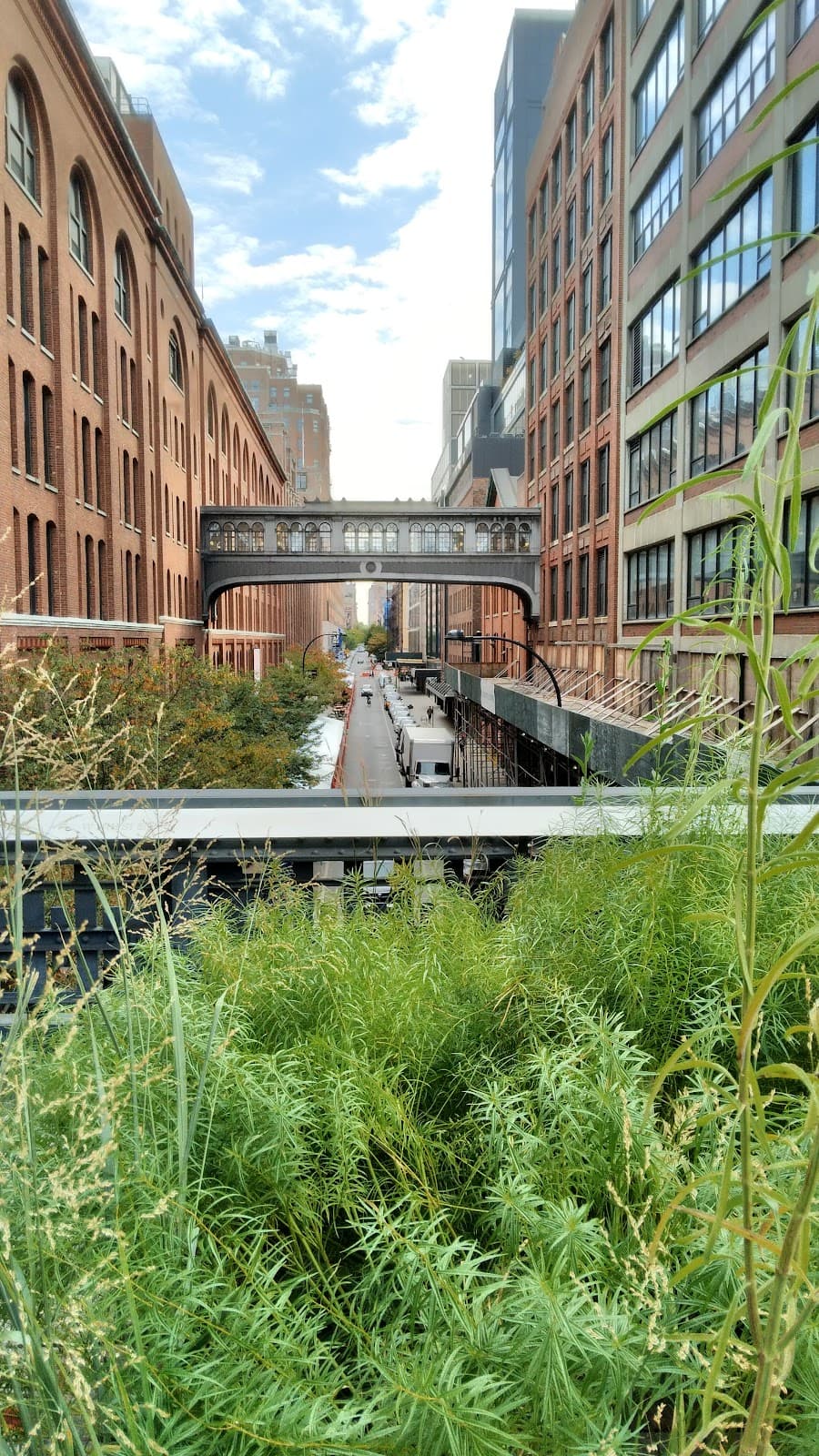 High Line & Meatpacking District - Image 1