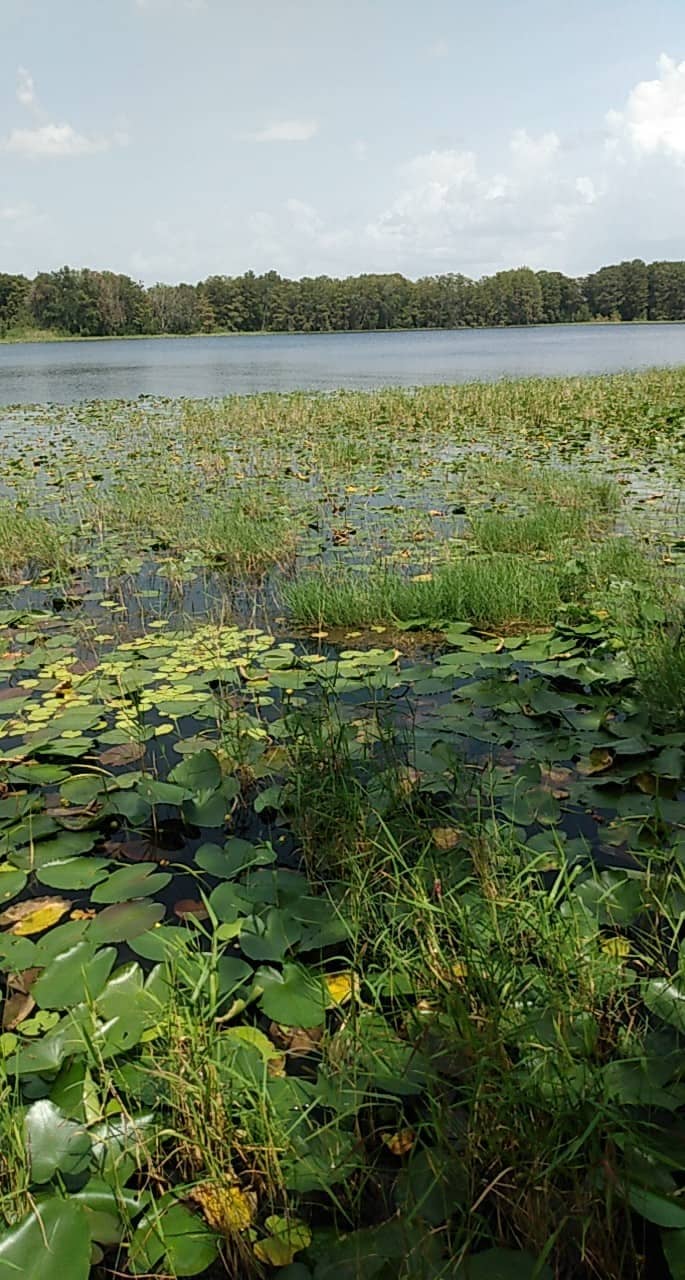 Scenic Rural Landscapes