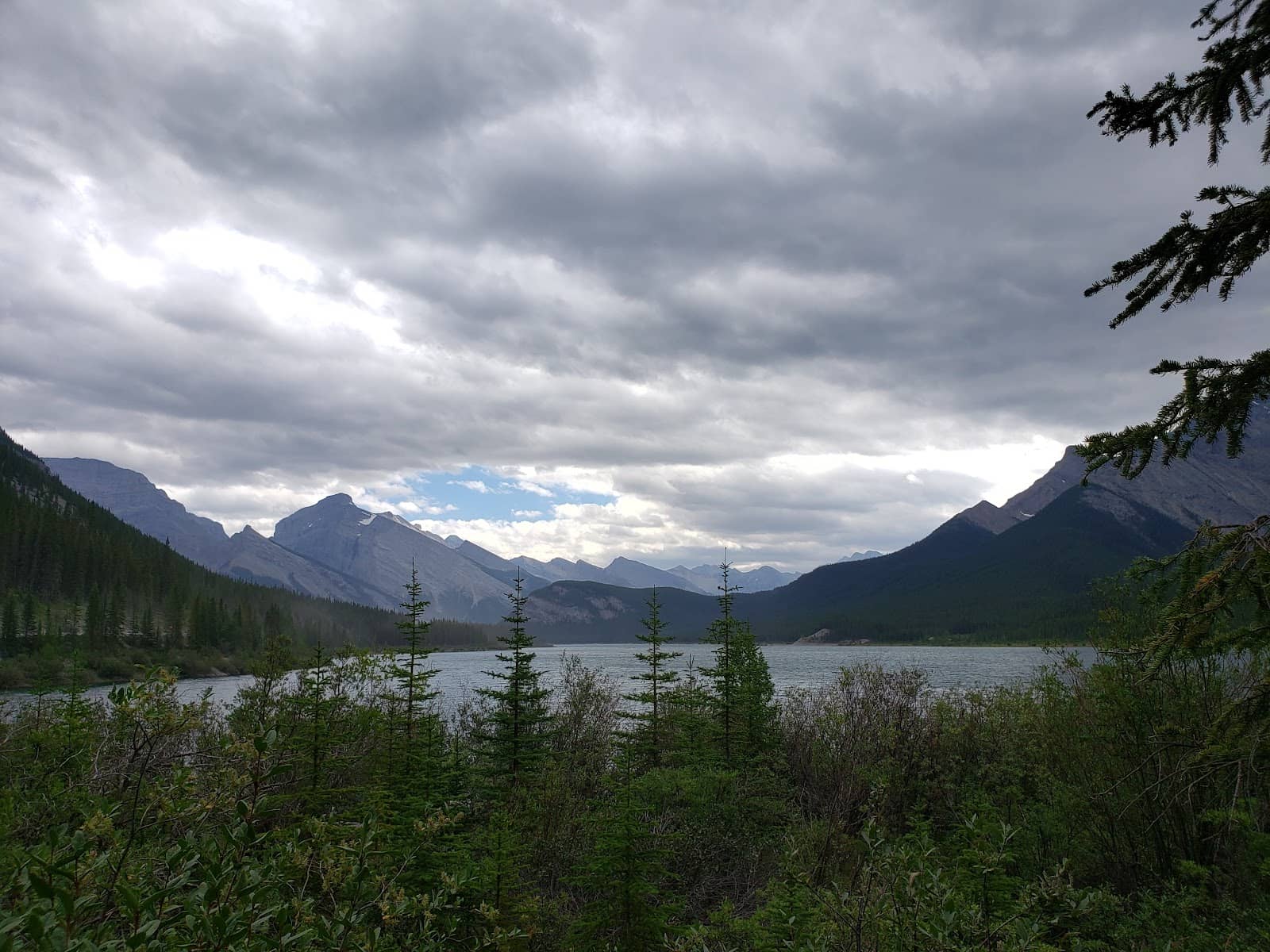 Wildlife Spotting Opportunities