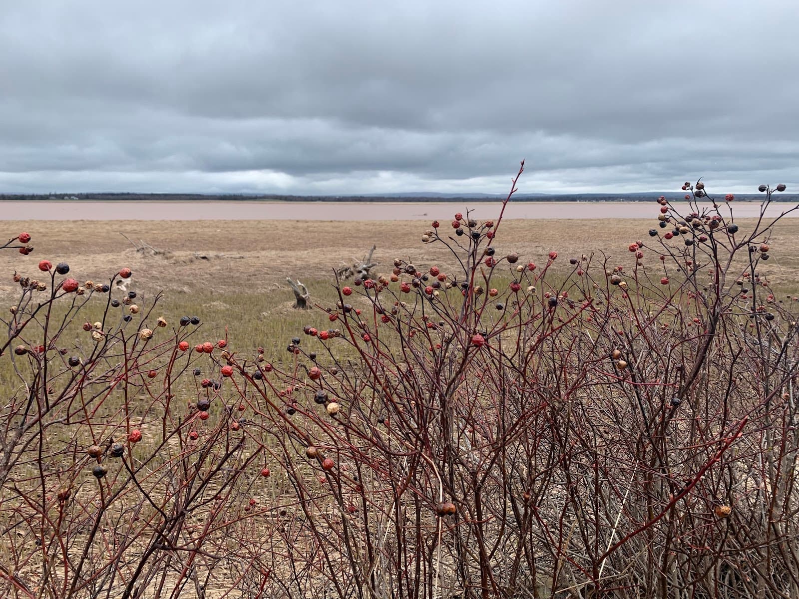 Cobequid Trail - Image 1