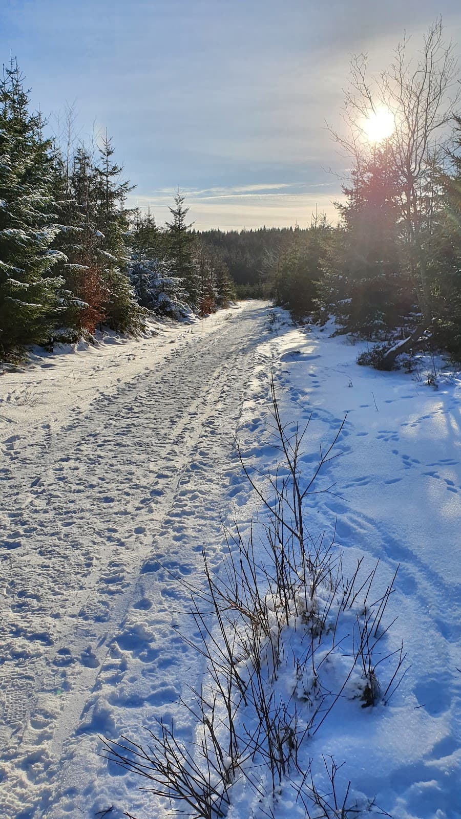 Rothaarsteig (Winterberg) - Image 1