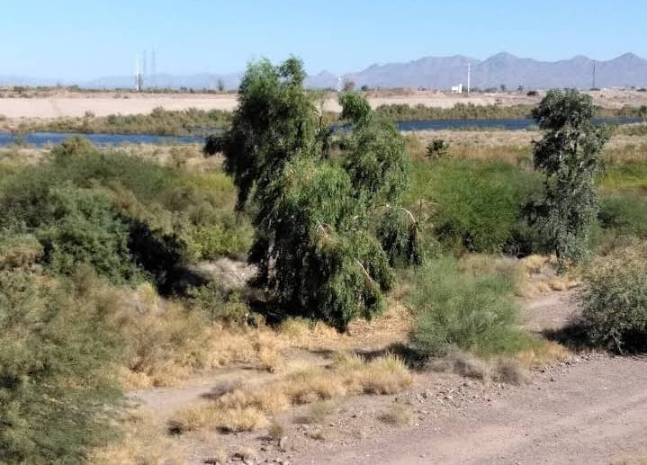 Rio Salado Pathway Tempe - Image 1