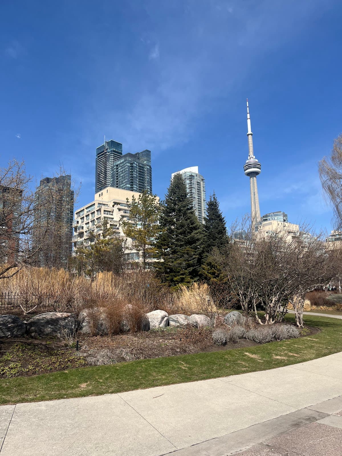 Lakeshore Trail - Image 1