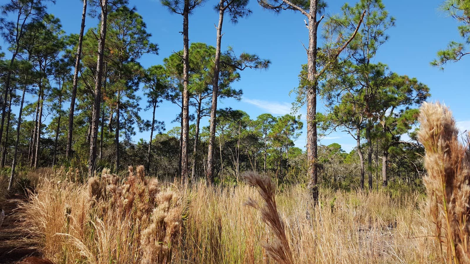 Baker Park Connection