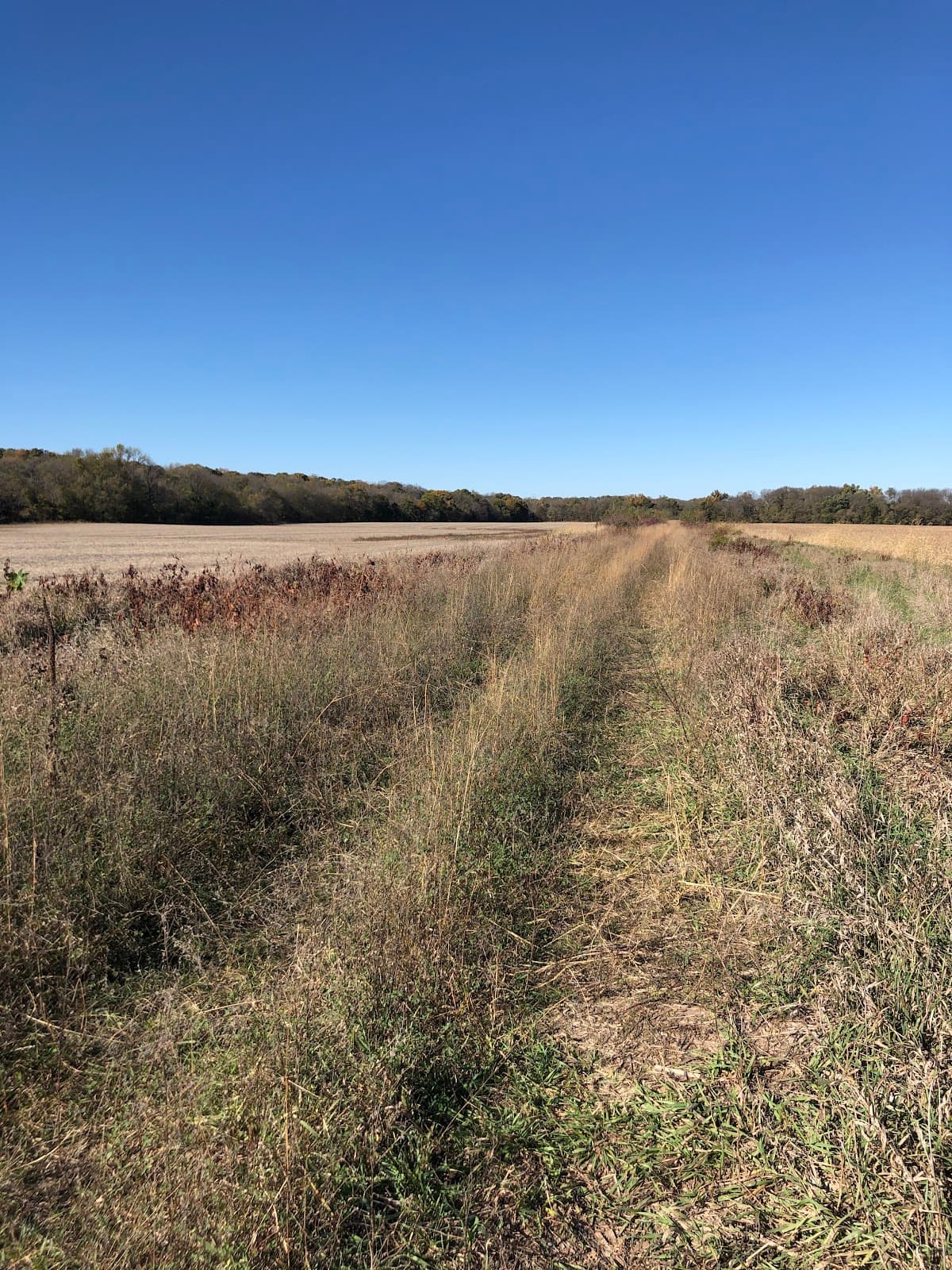 Landon Nature Trail - Image 1