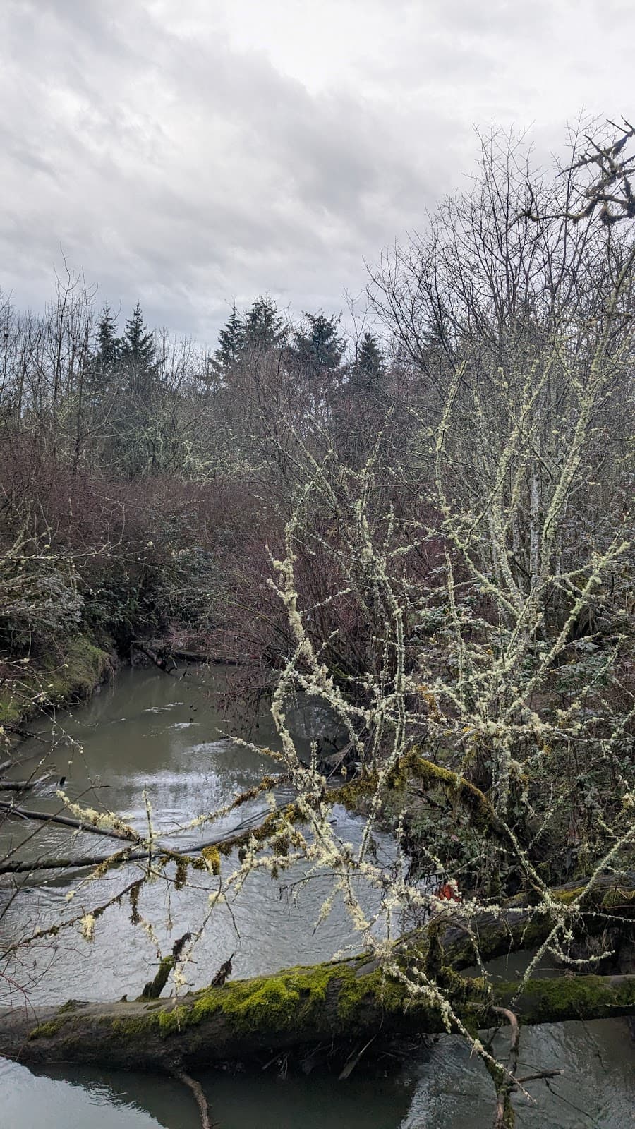 Fanno Creek Trail - Image 1