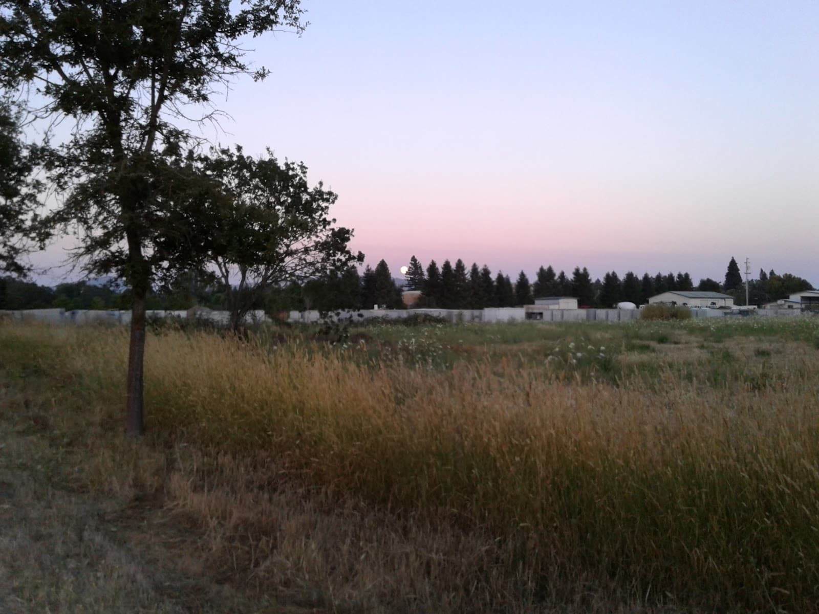 Joe Rodota Trail Santa Rosa - Image 1