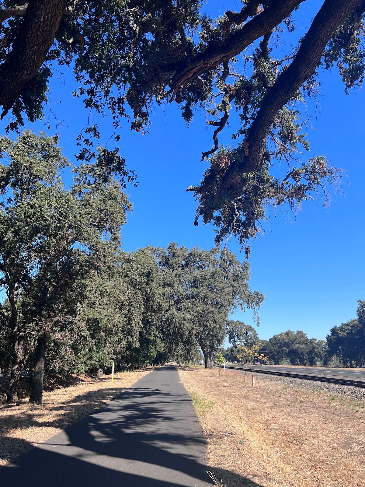 Napa Valley Vine Trail - Image 1