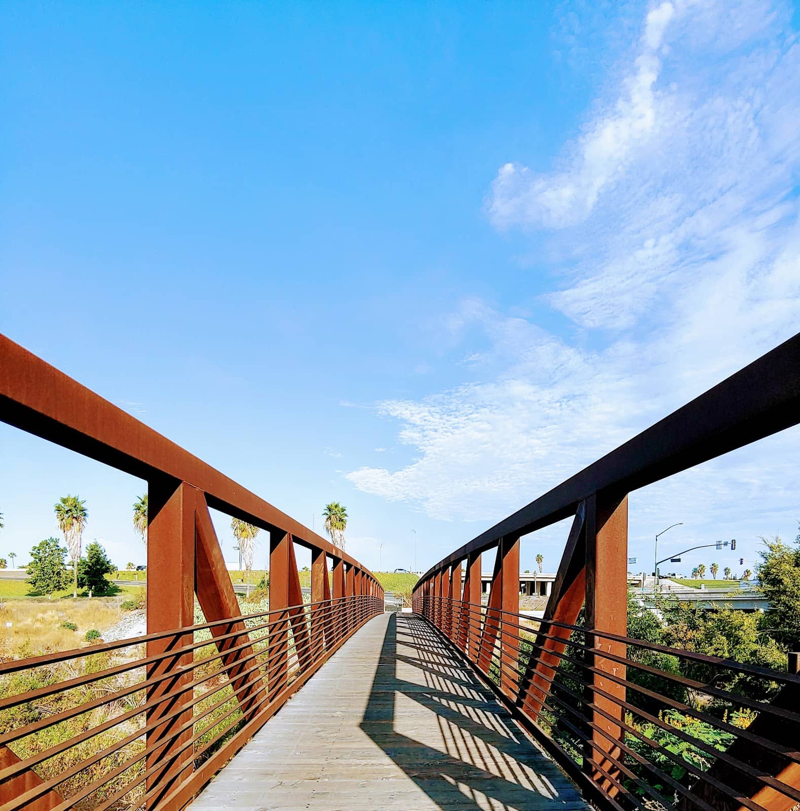 Wildlife Spotting Opportunities