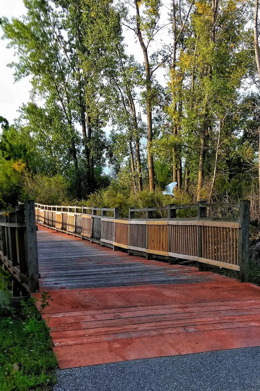 Chippewa Trail - Image 1