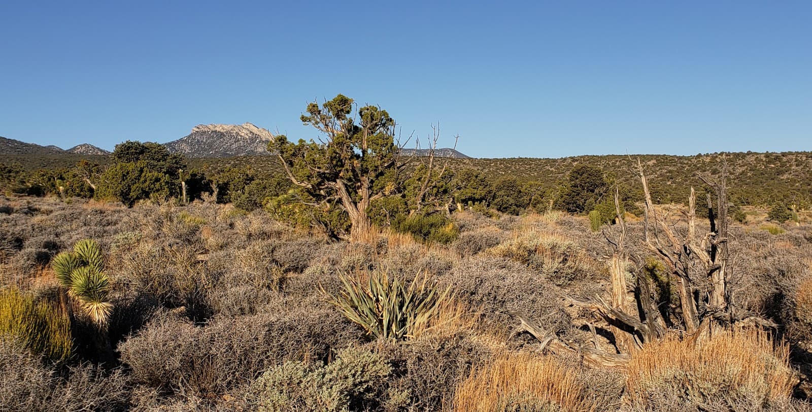 Spring Mountain Road - Image 1