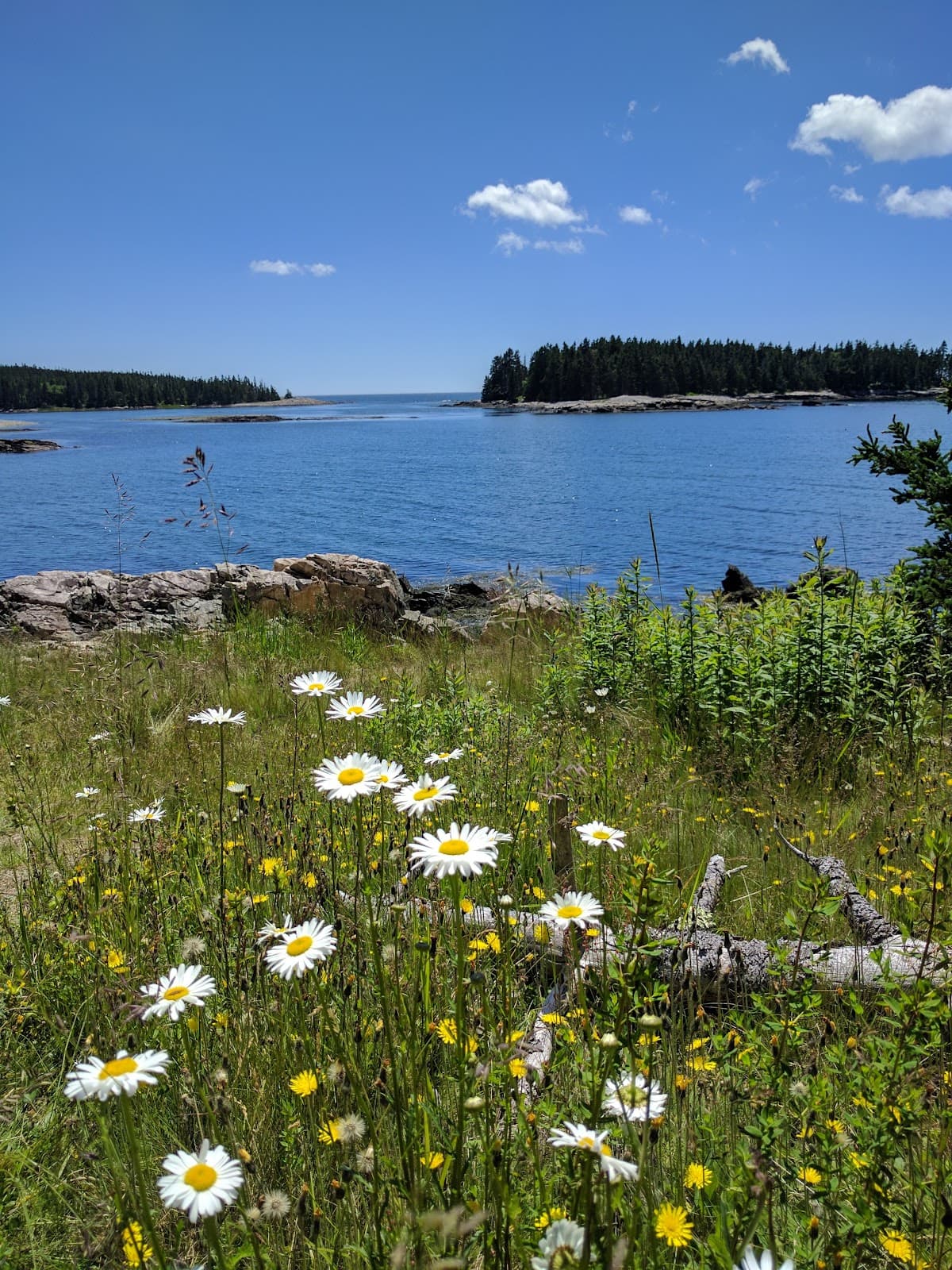 Schoodic Loop Road - Image 1