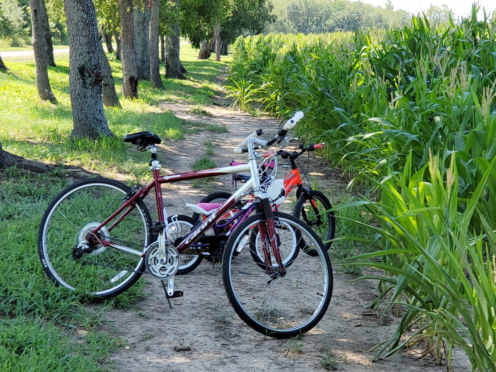 Simon Kenton Trail - Image 1