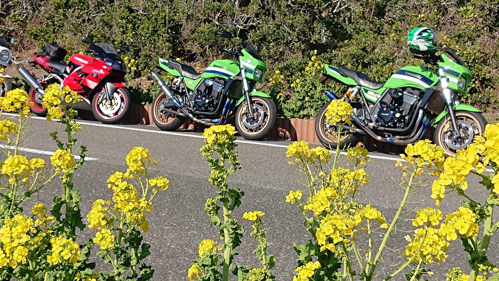 Boso Flower Line - Image 1