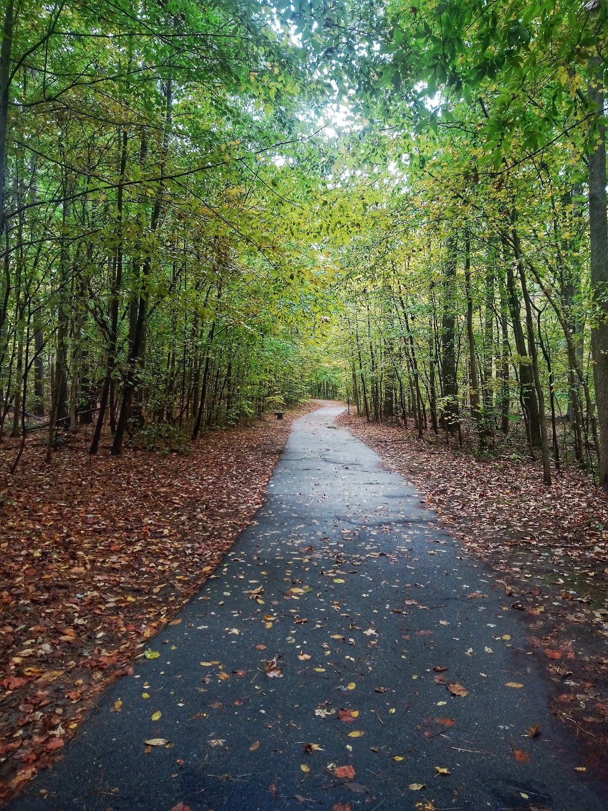 Black Creek Greenway - Image 1