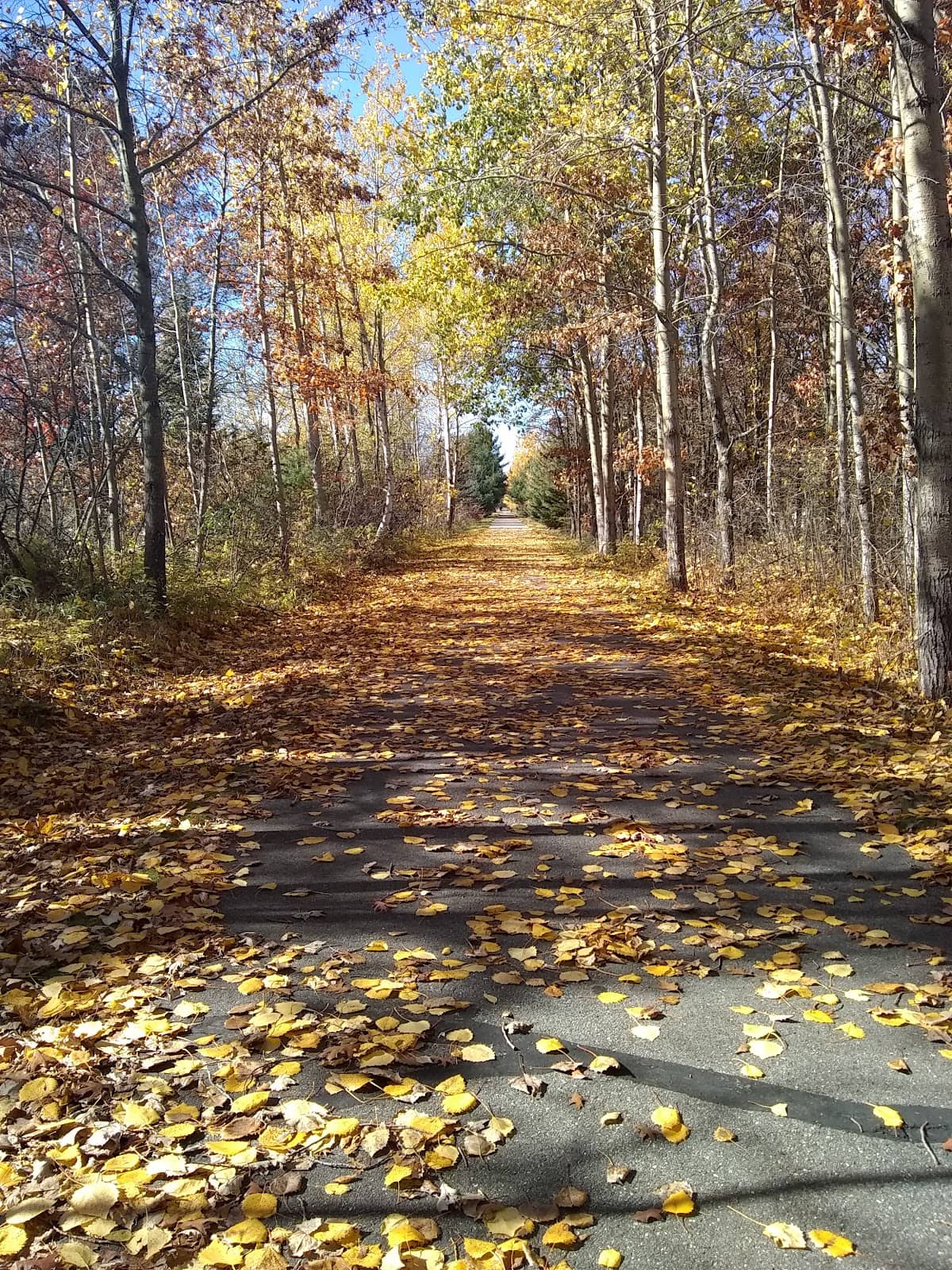 The Full Century Ride