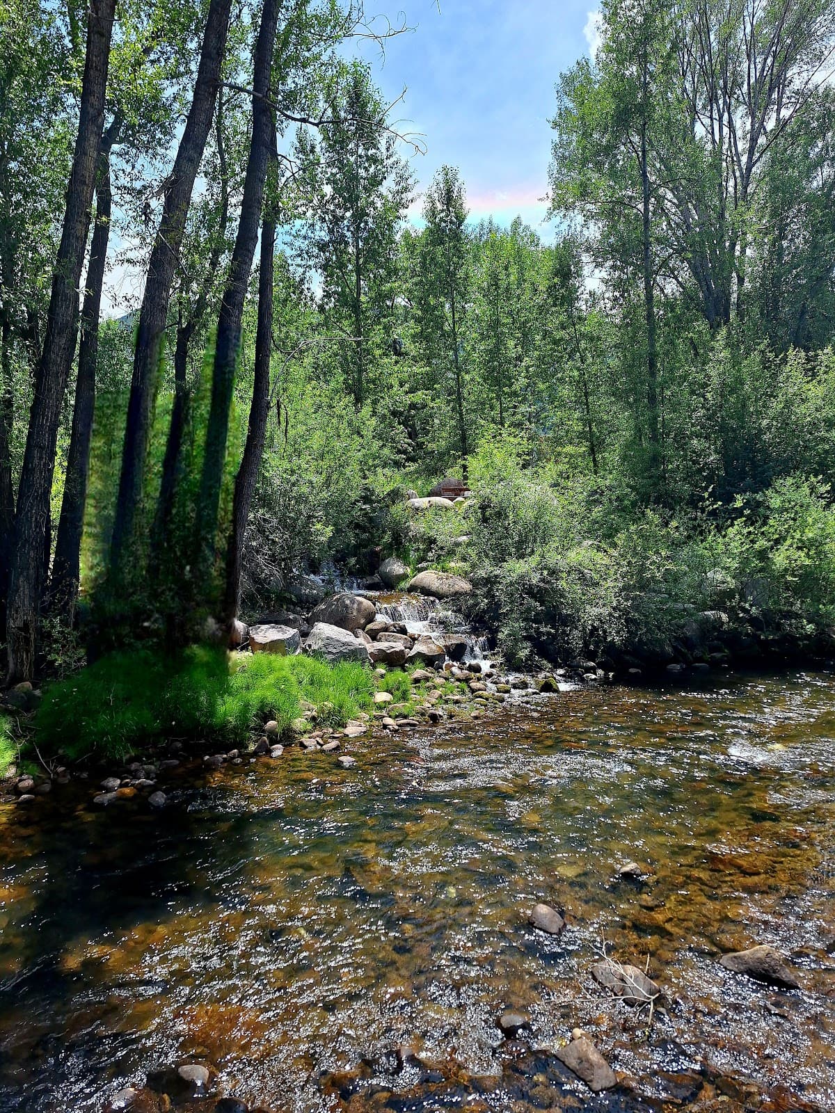 Rio Grande Trail New Mexico - Image 1