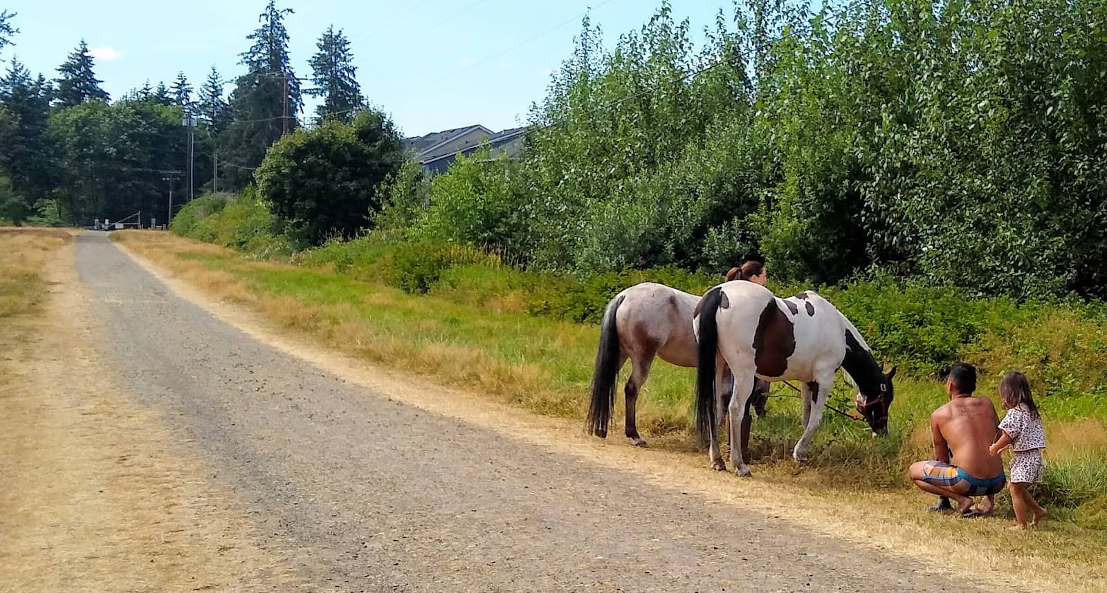 Unexpected Encounters