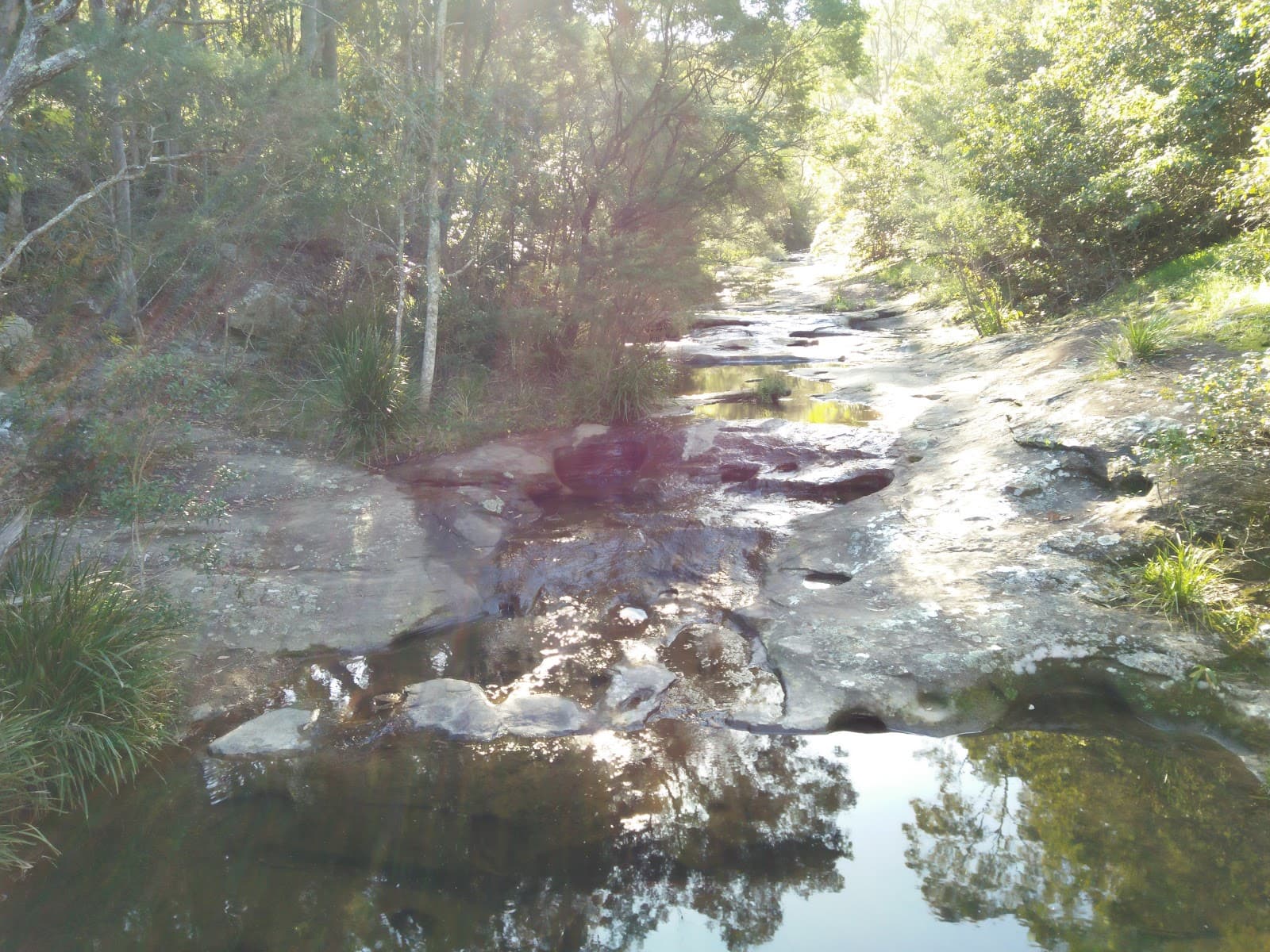 Yuelarbah Track - Image 1