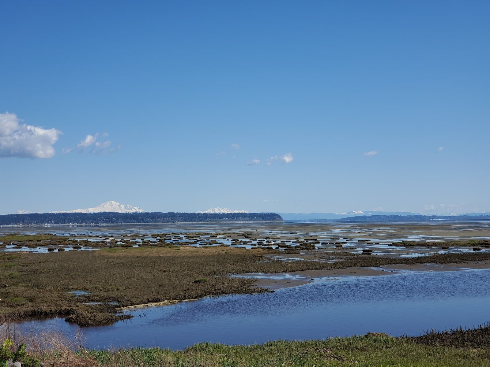 Boundary Bay Dyke Trail - Image 1