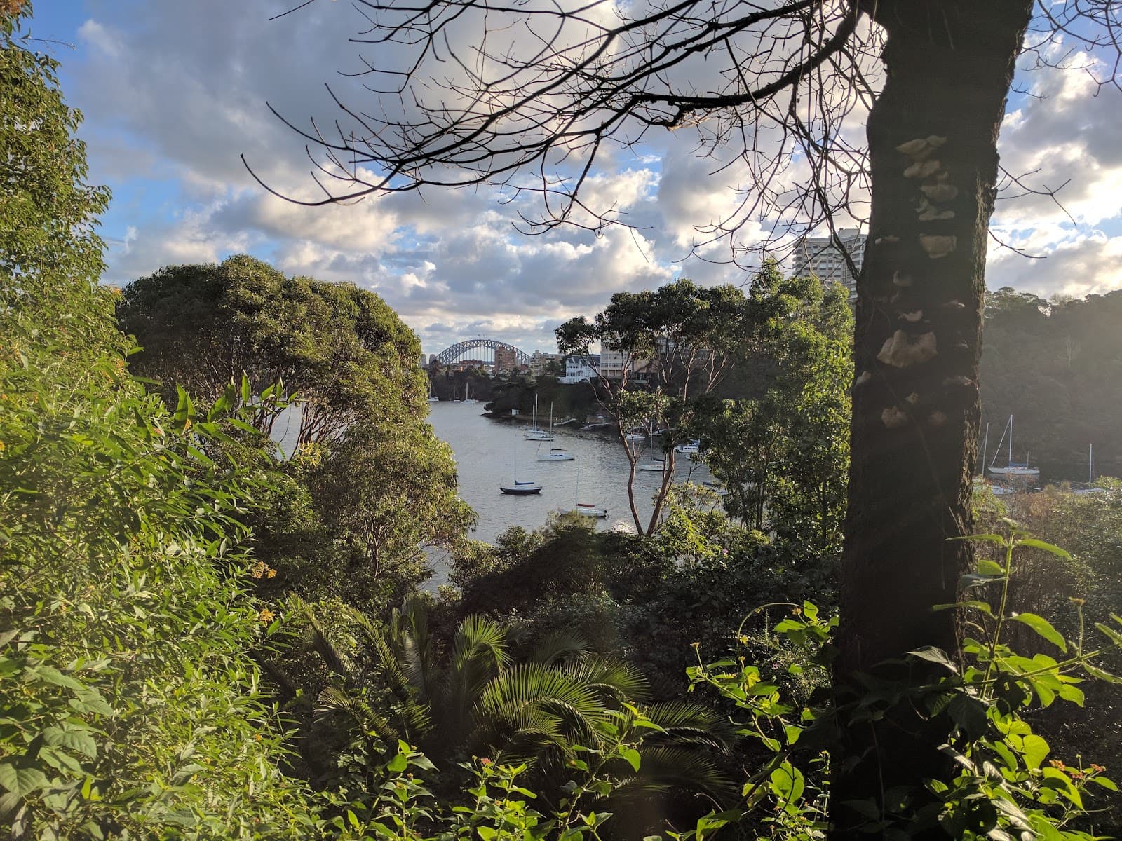 Mosman Foreshore - Image 1