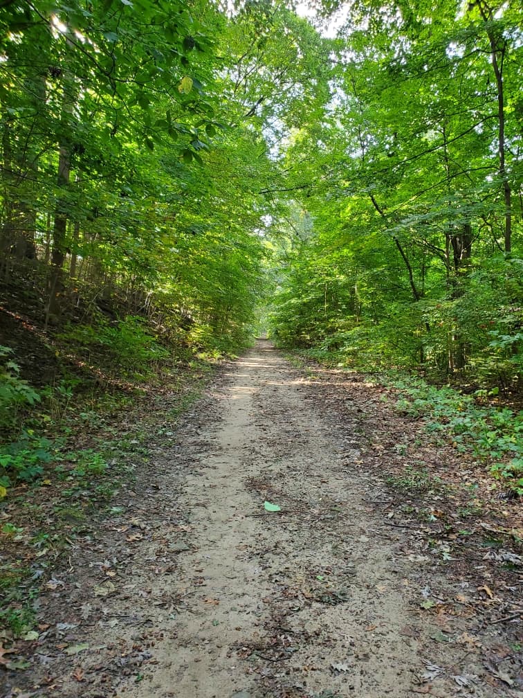 Old Croton Aqueduct Trail - Image 1