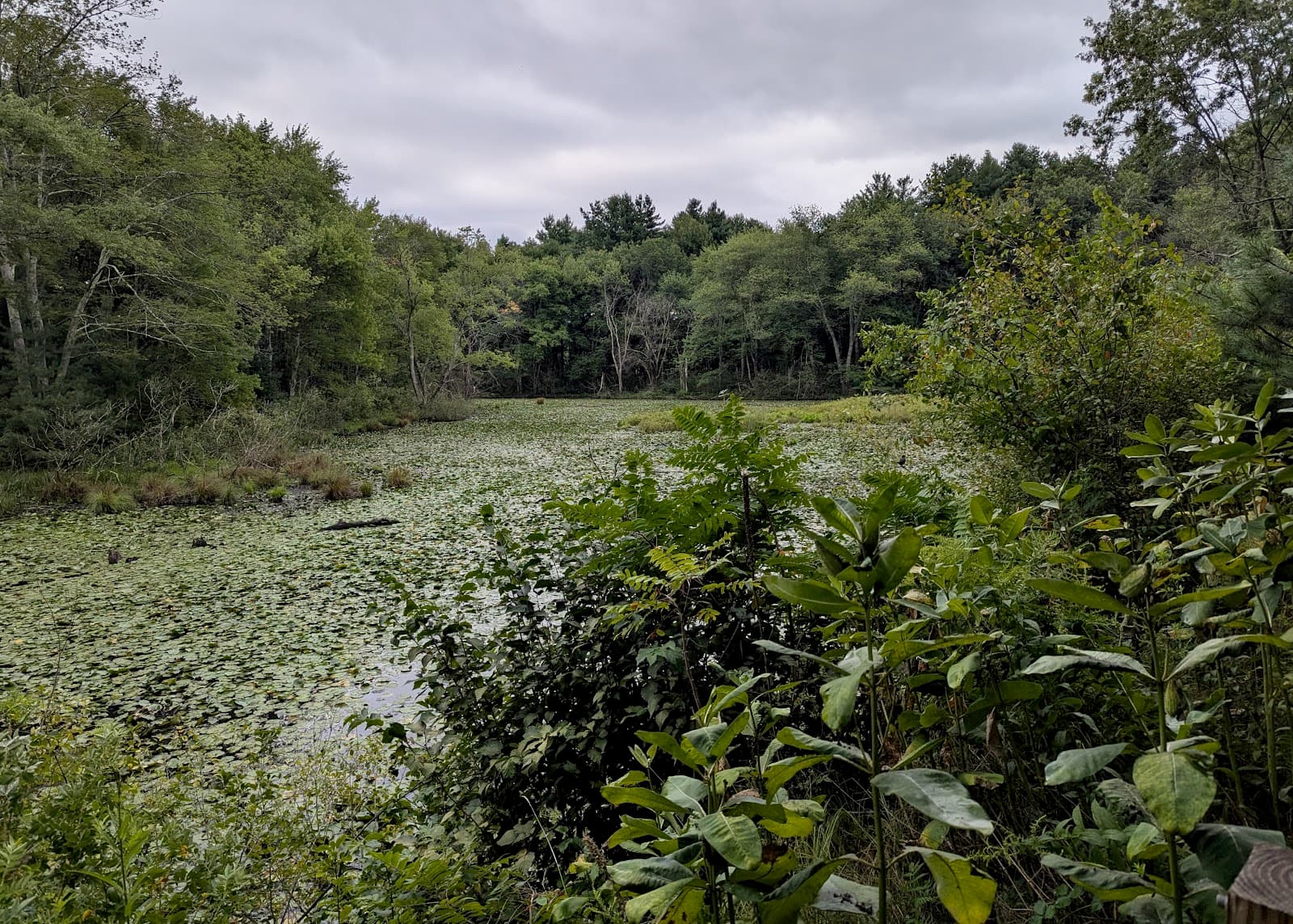Bruce Freeman Rail Trail - Image 1