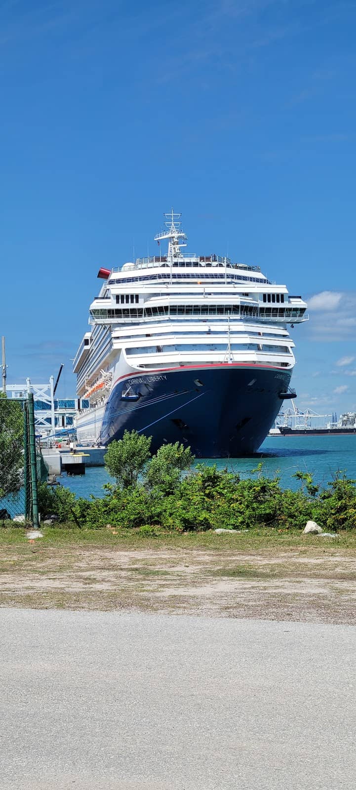 Beachcombing for Treasures