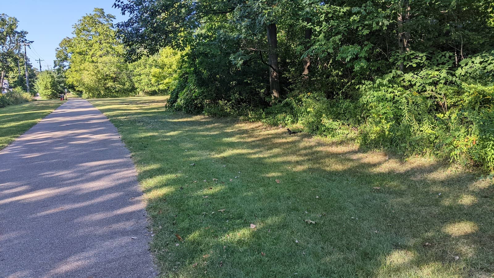 Scenic Trail Ride