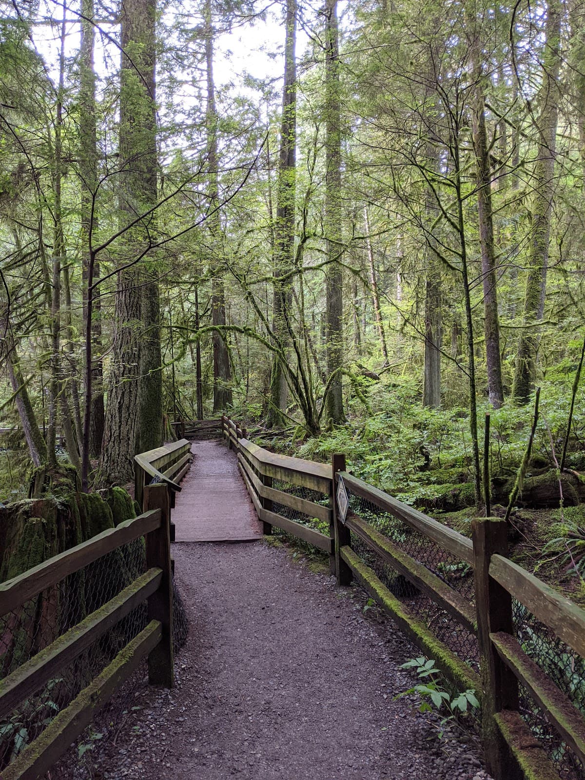 Capilano Pacific Trail - Image 1