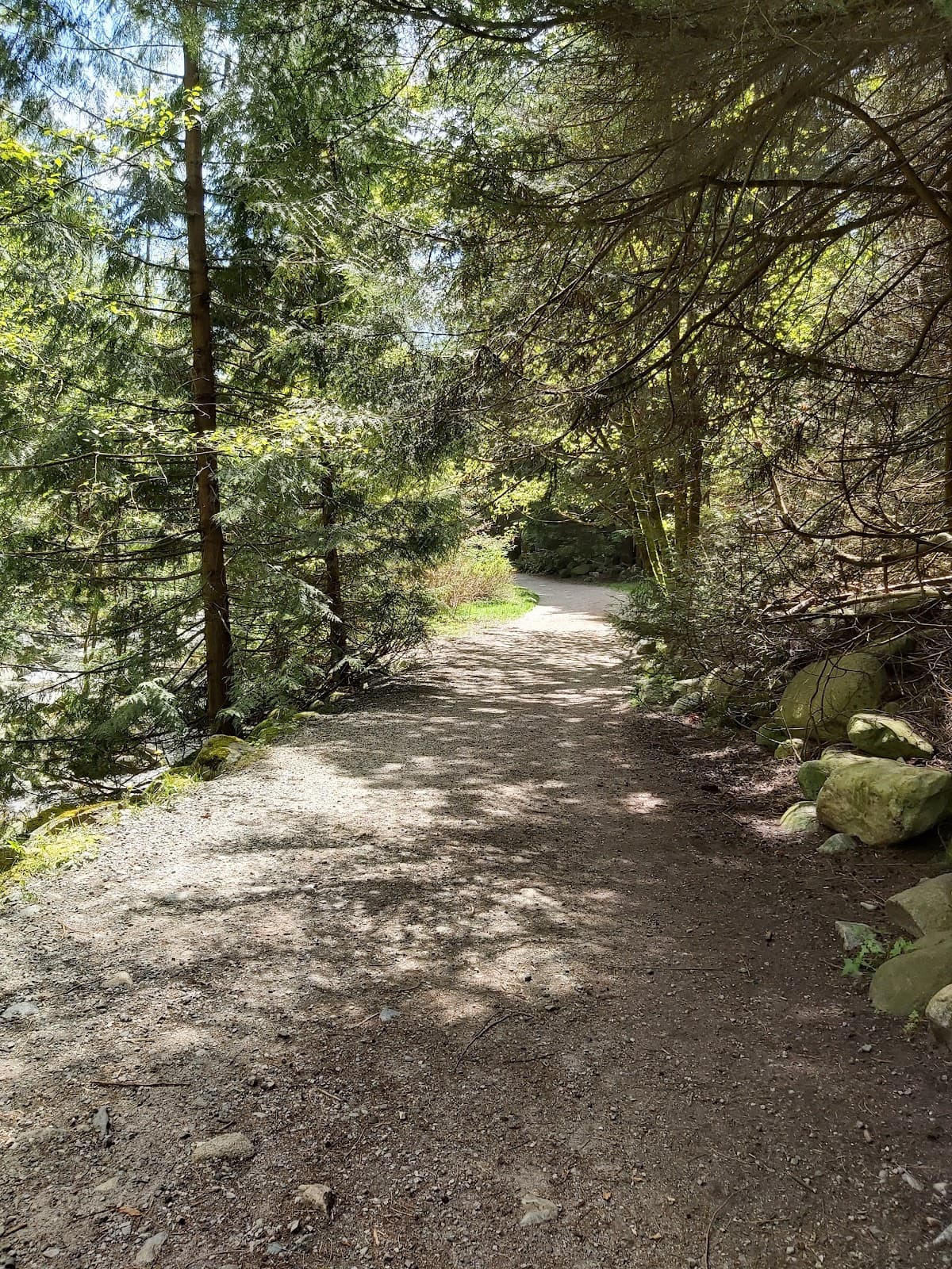 Mosquito Creek Trail - Image 1