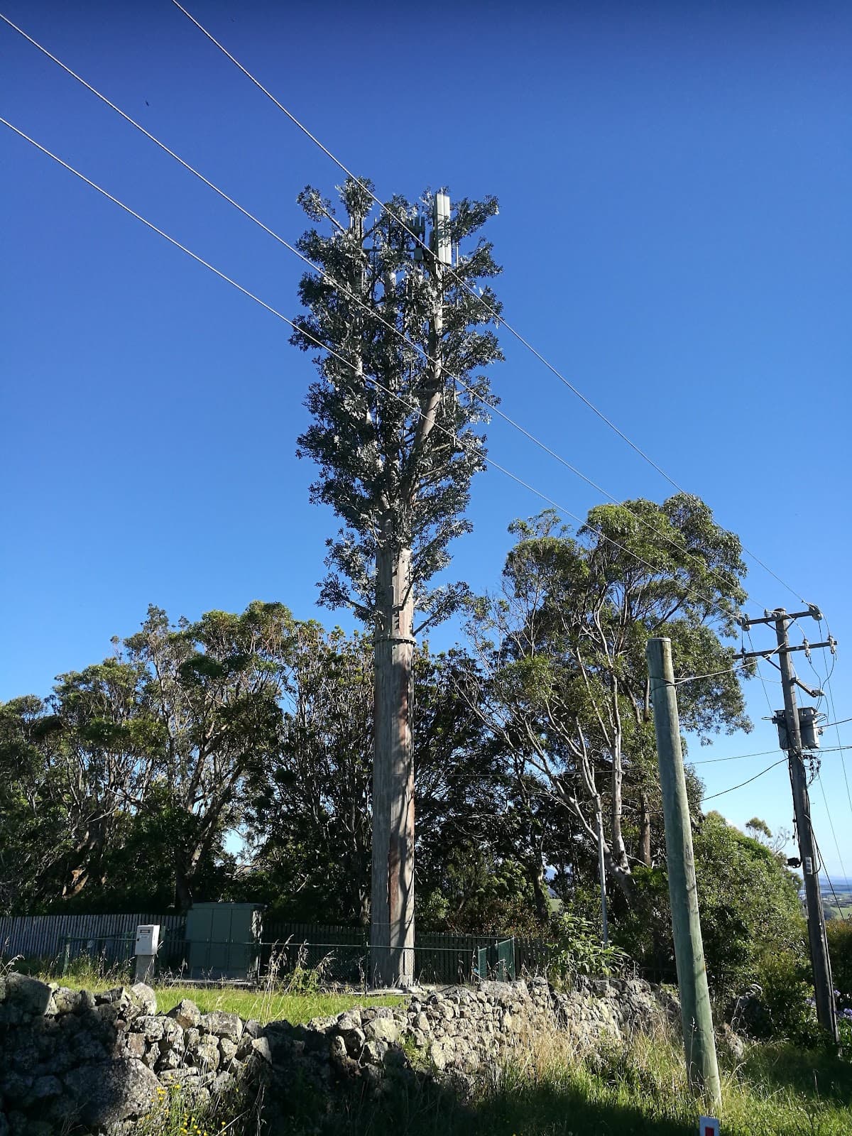 Saddleback Mountain Rd, Kiama NSW 2533, Australia - Image 1