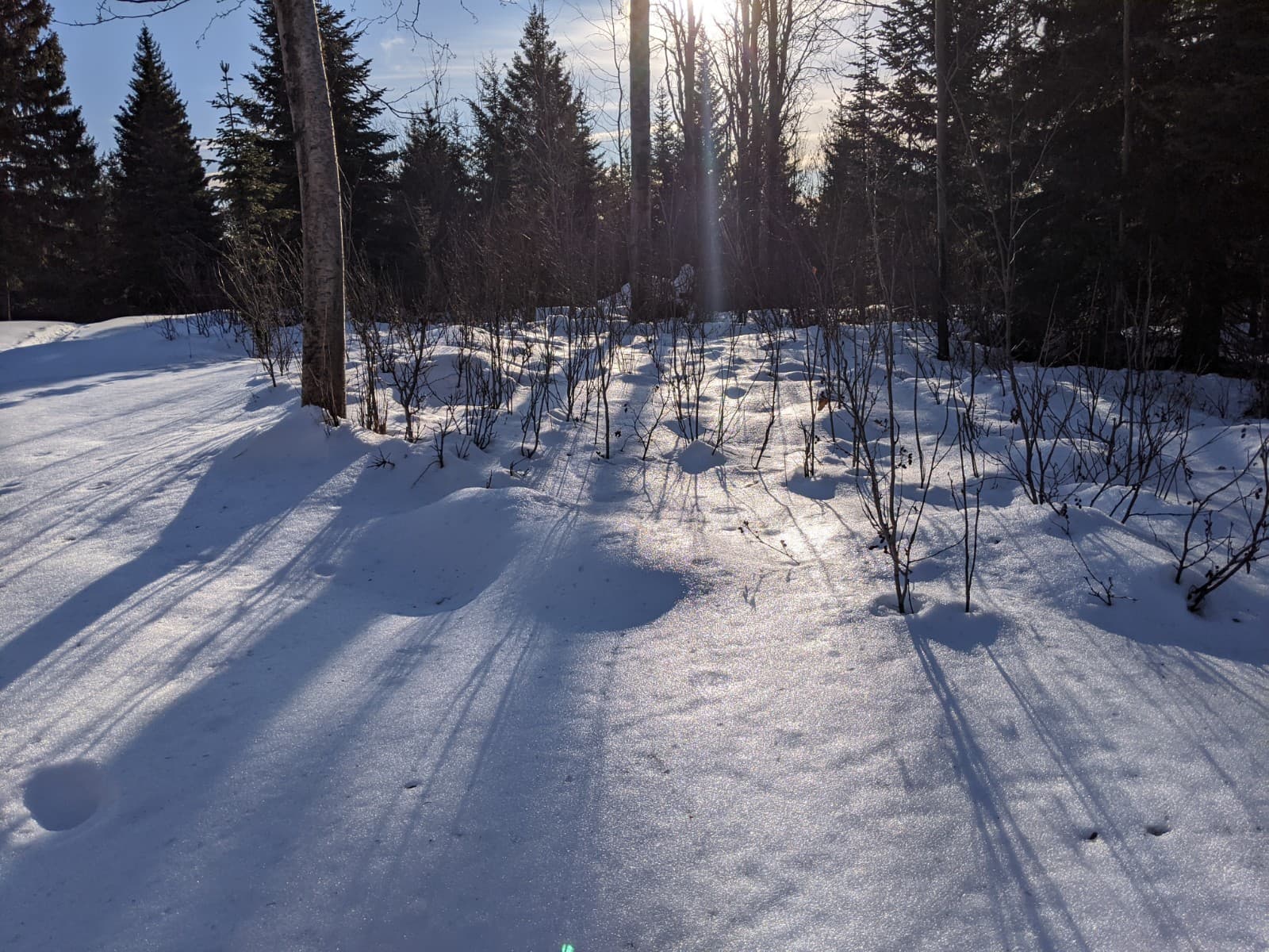 Cranbrook Hill Greenway - Image 1