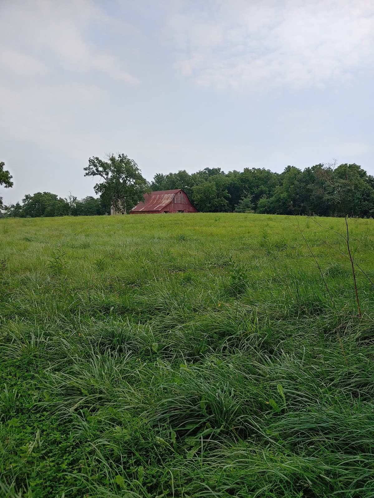 South Creek Greenway - Image 1